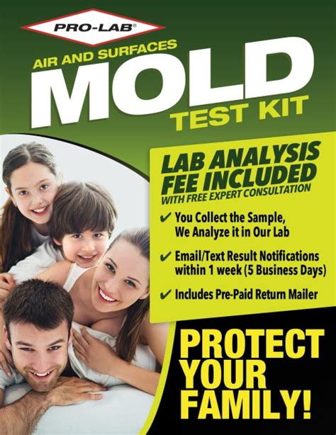 mold test kit menards|prolab mold test kit instructions.